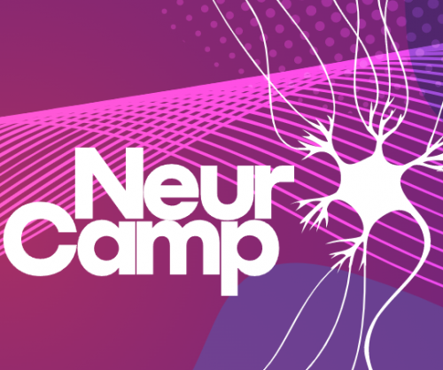 С 11 по 24 июня 2022 года в Свердловской области будет проходить Всероссийская проектная школа по нейротехнологиям и когнитивным наукам «NeuroCamp». 