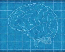 Учёные выяснили как контролировать активность мозга