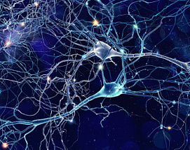 Обзор новостей нейротехнологий 13.10.18 - 19.10.18