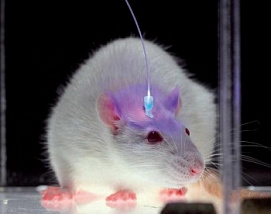 Глубокая стимуляция мозга с помощью наночастиц