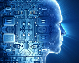 Илья Неменман: «Мы используем искусственный интеллект, чтобы понять, как работает мозг» 